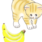 バナナは猫の敵だった事が分かる動画