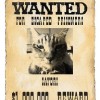 特徴が命！脱走猫、逃走猫、迷い猫に有効な尋ね猫の貼り紙ポスターの作り方